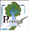 logo_plouisy_small