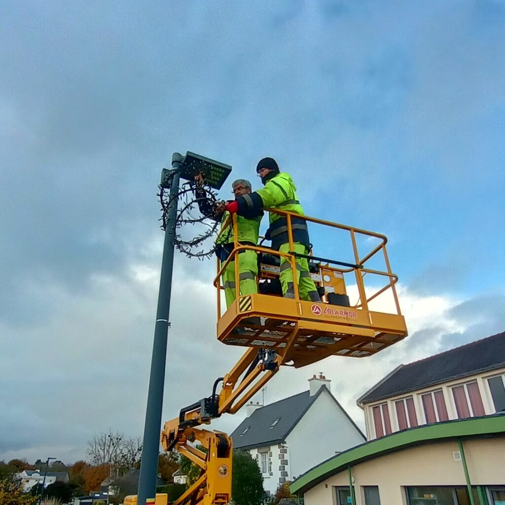 Installation des décorations de Noël
